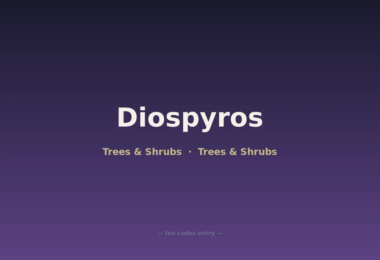 Diospyros