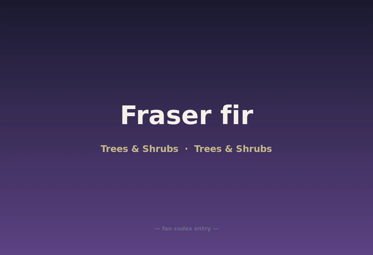 Fraser fir