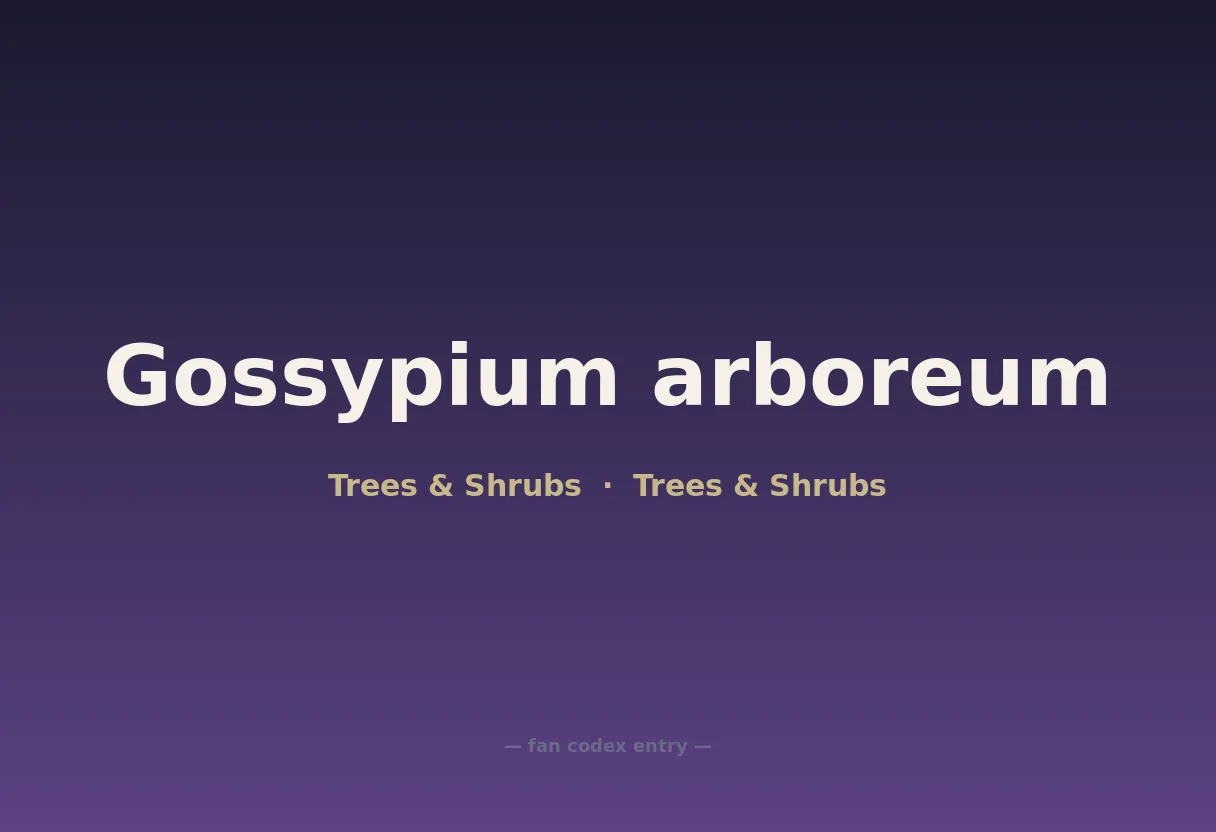 Gossypium arboreum