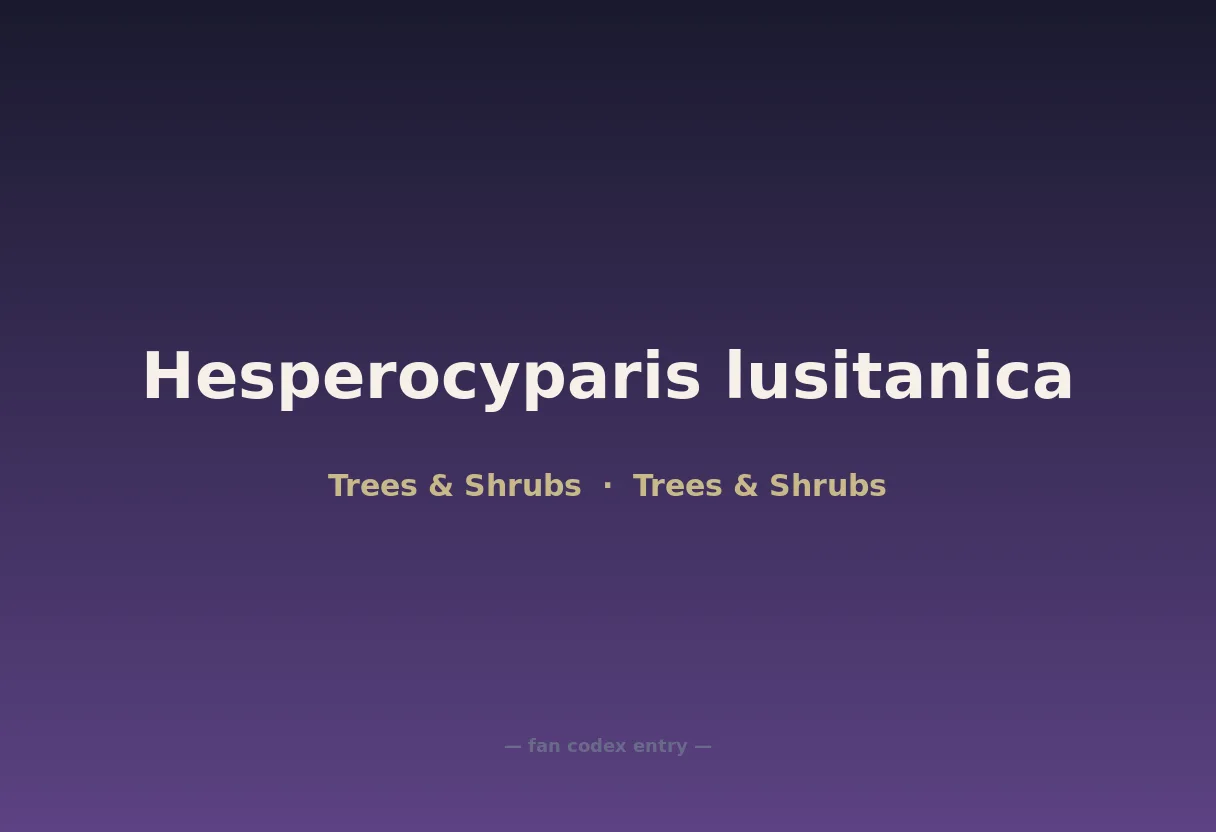 Hesperocyparis lusitanica