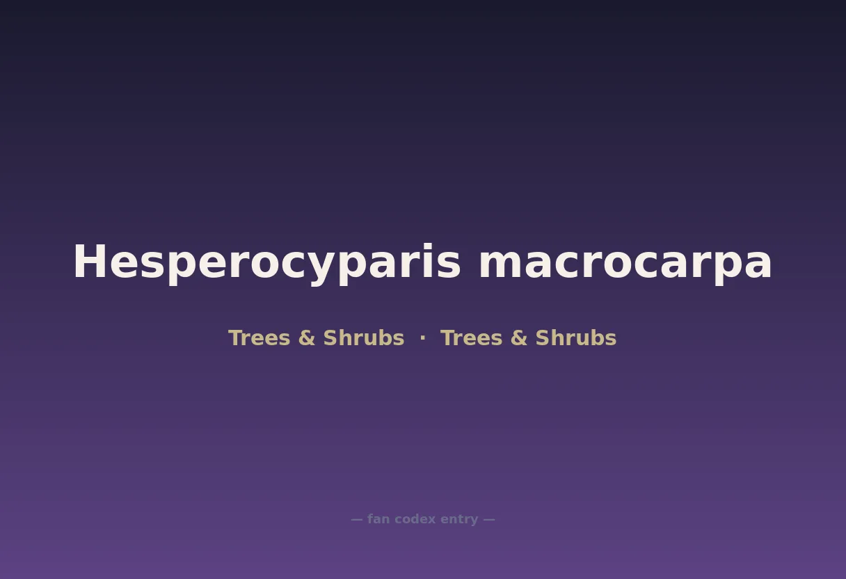 Hesperocyparis macrocarpa