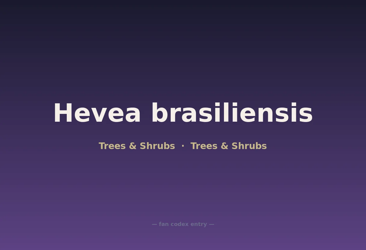 Hevea brasiliensis