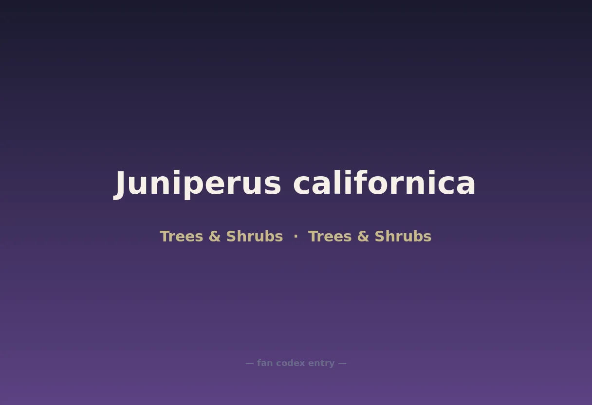 Juniperus californica