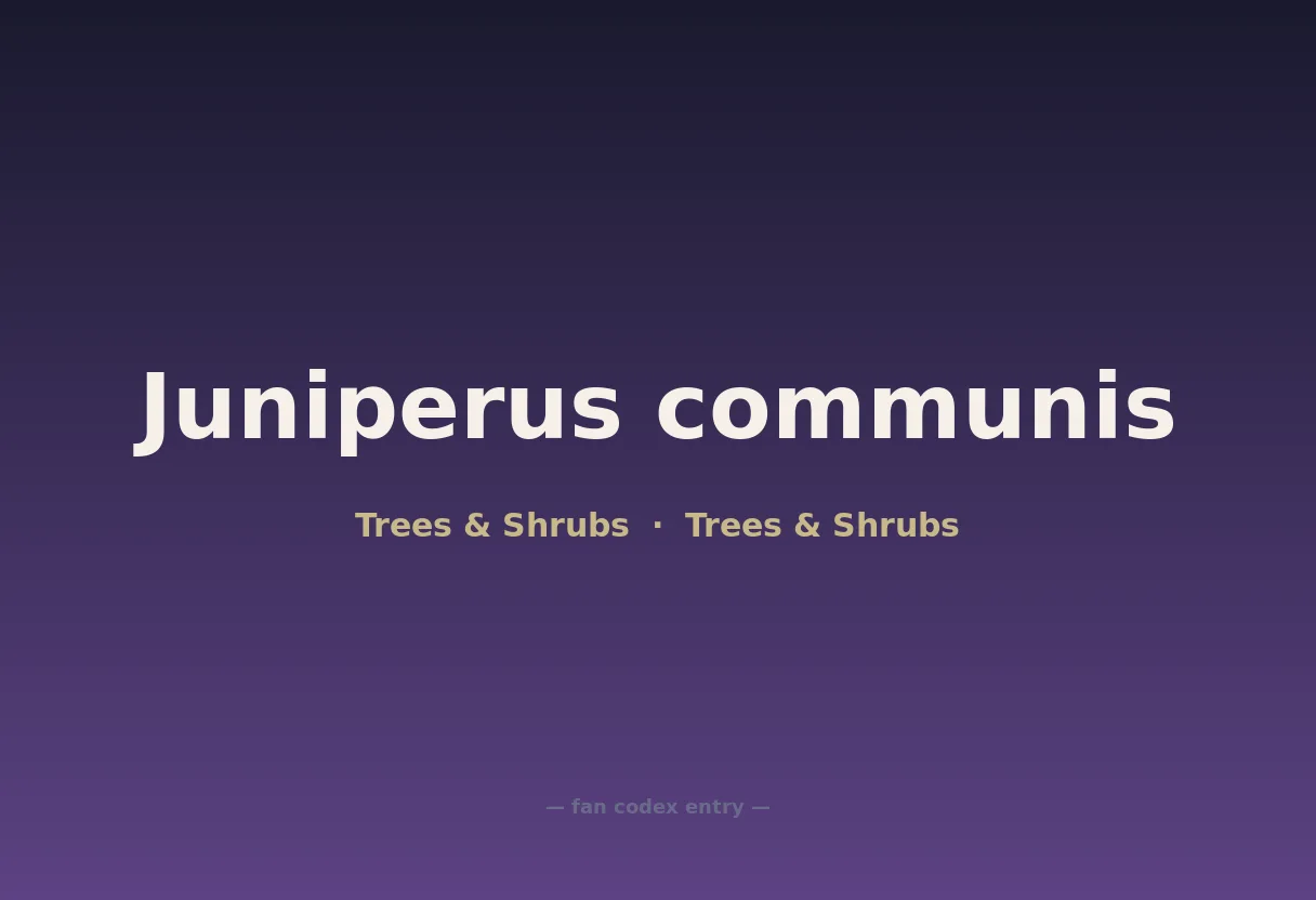 Juniperus communis