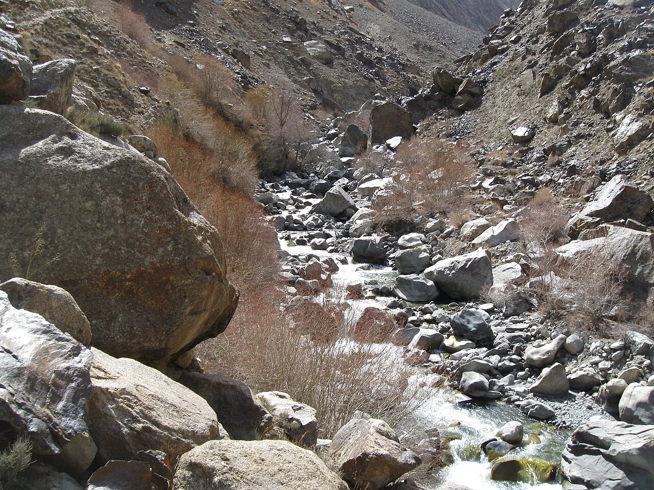 Afghanistan '11