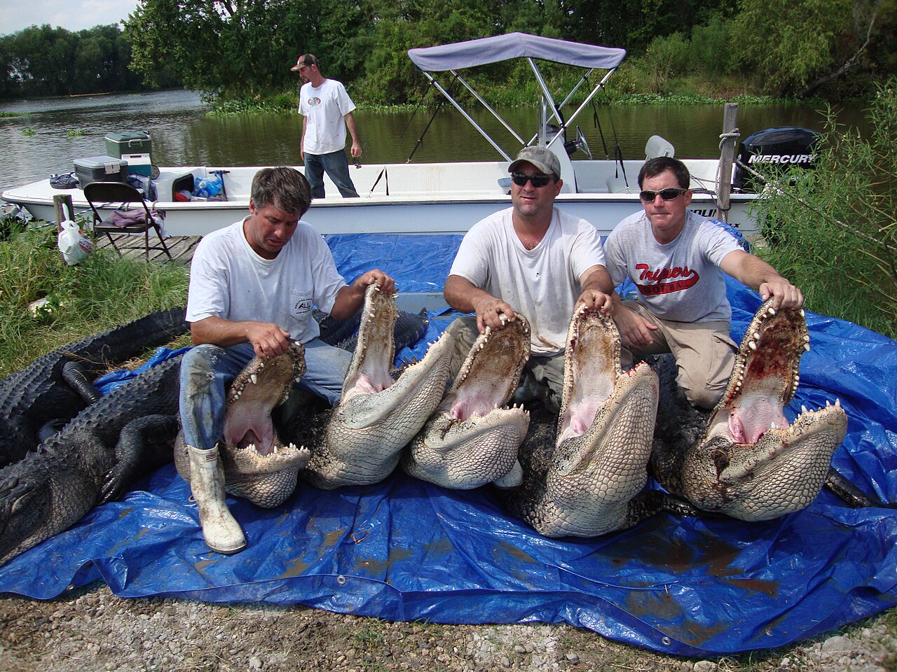 Louisiana