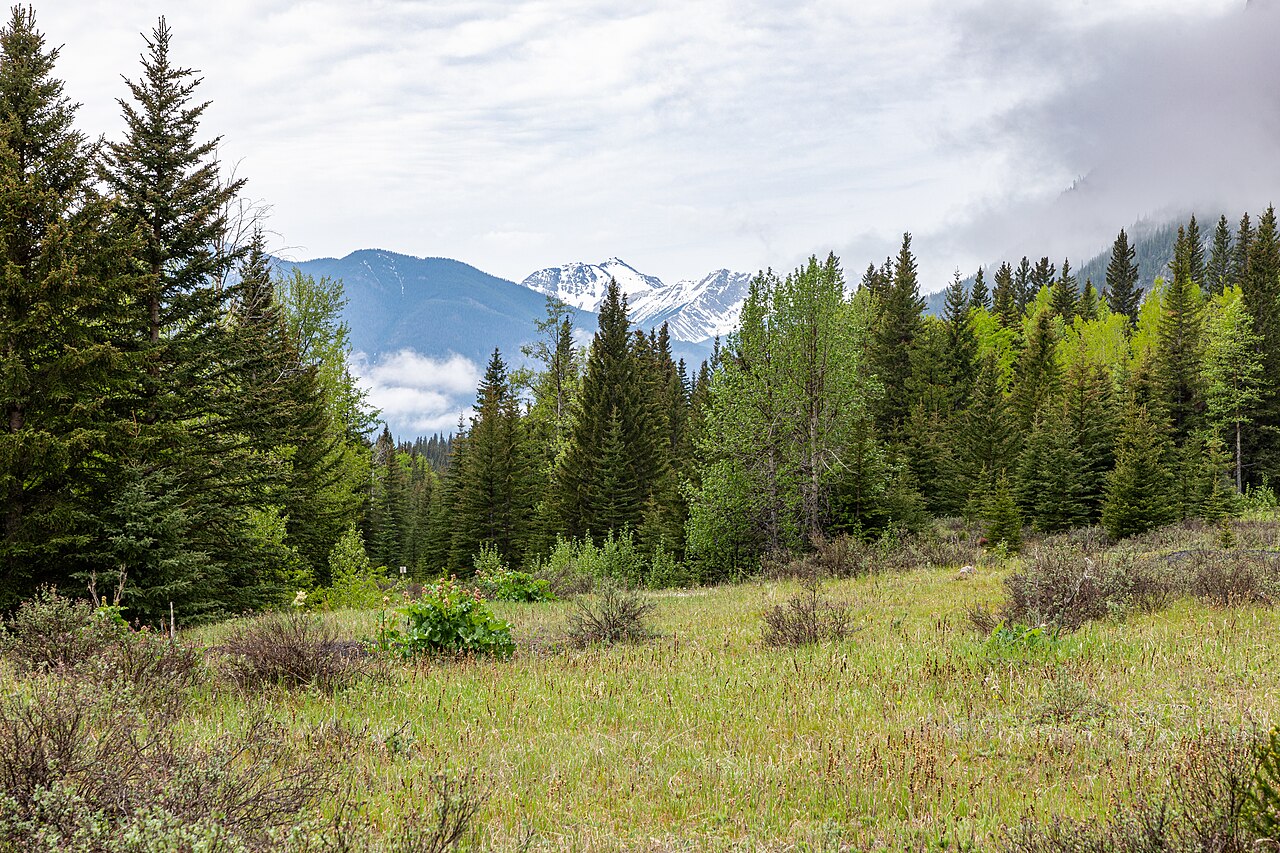Banff National Park