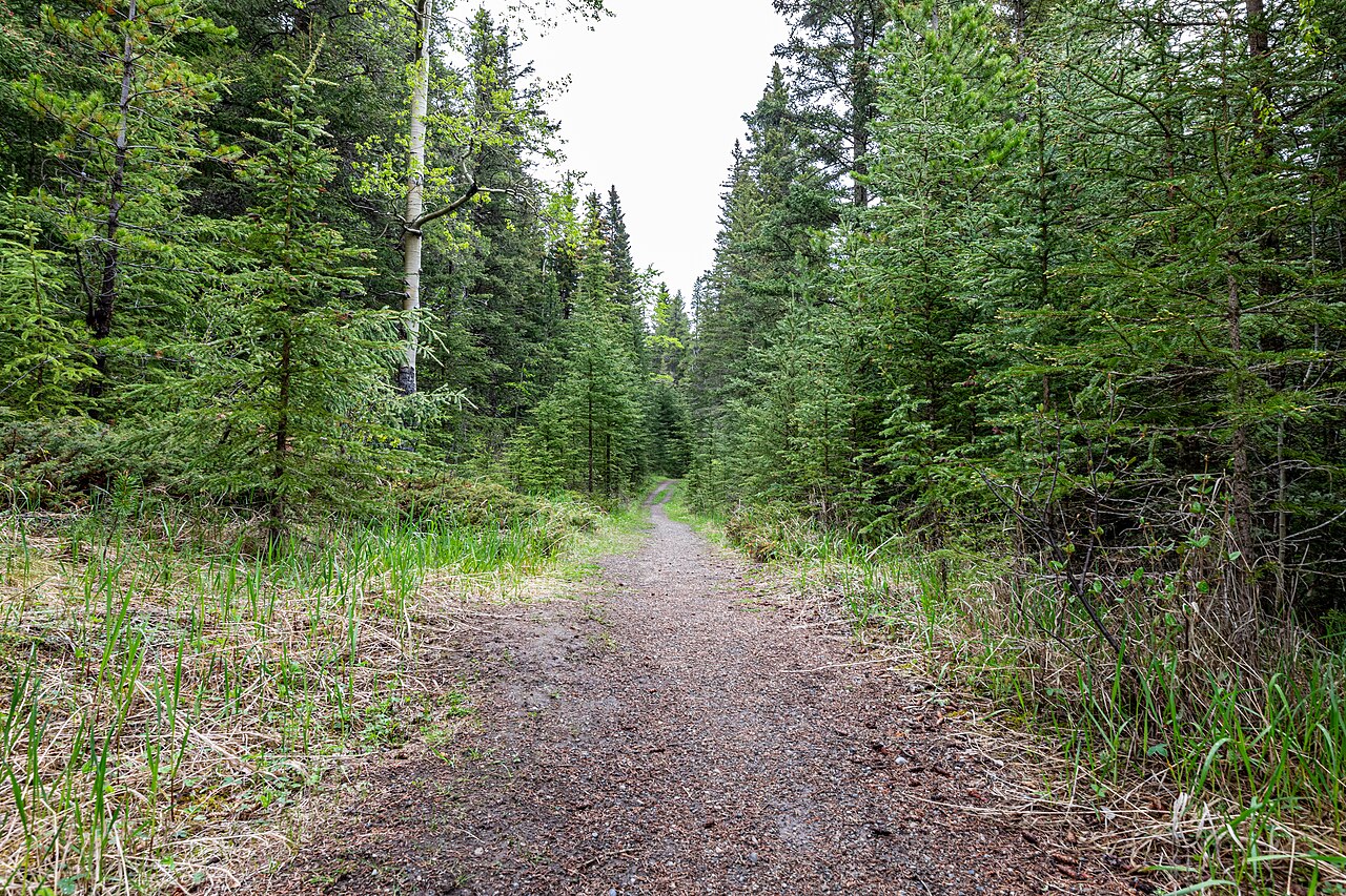 Banff National Park