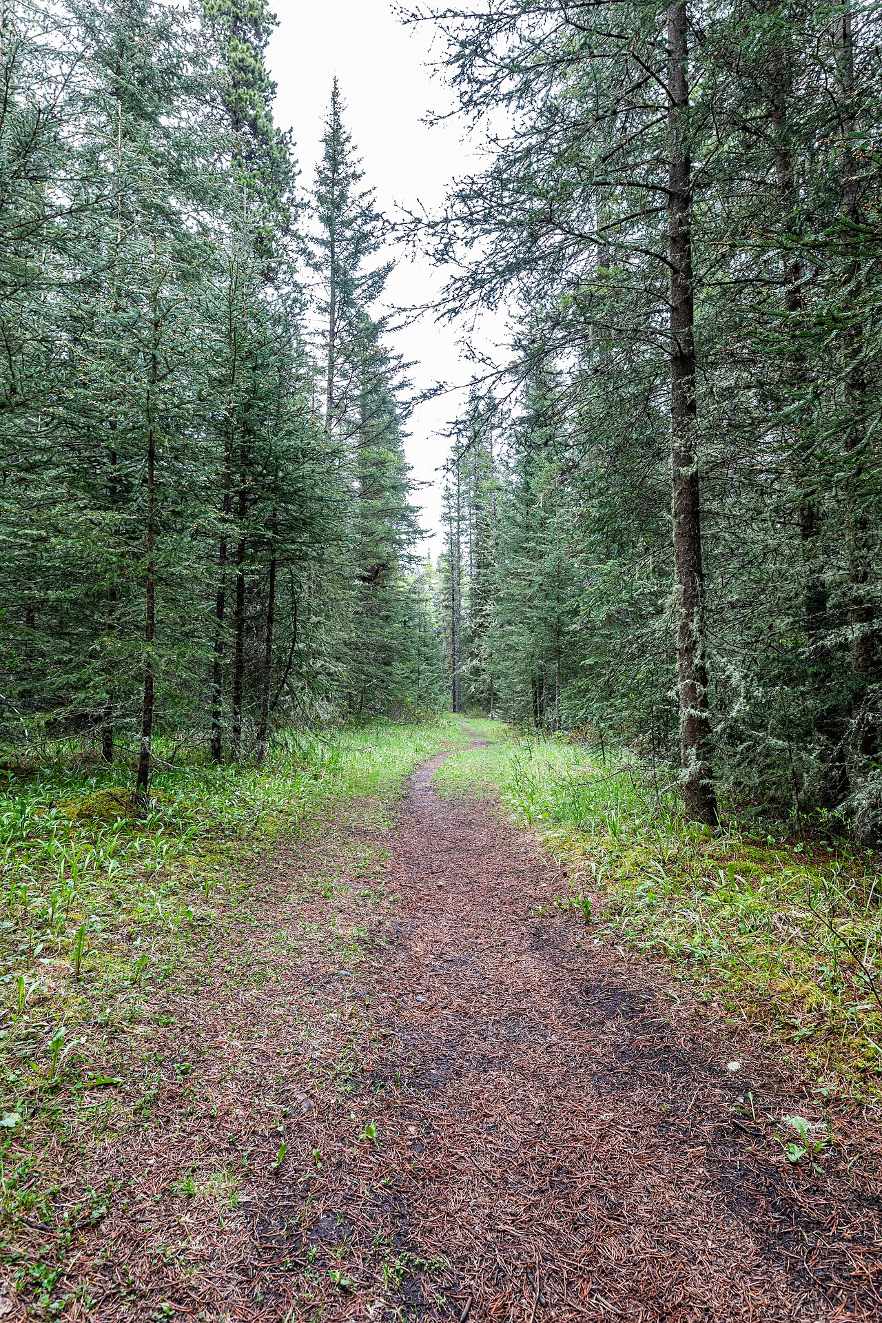 Banff National Park