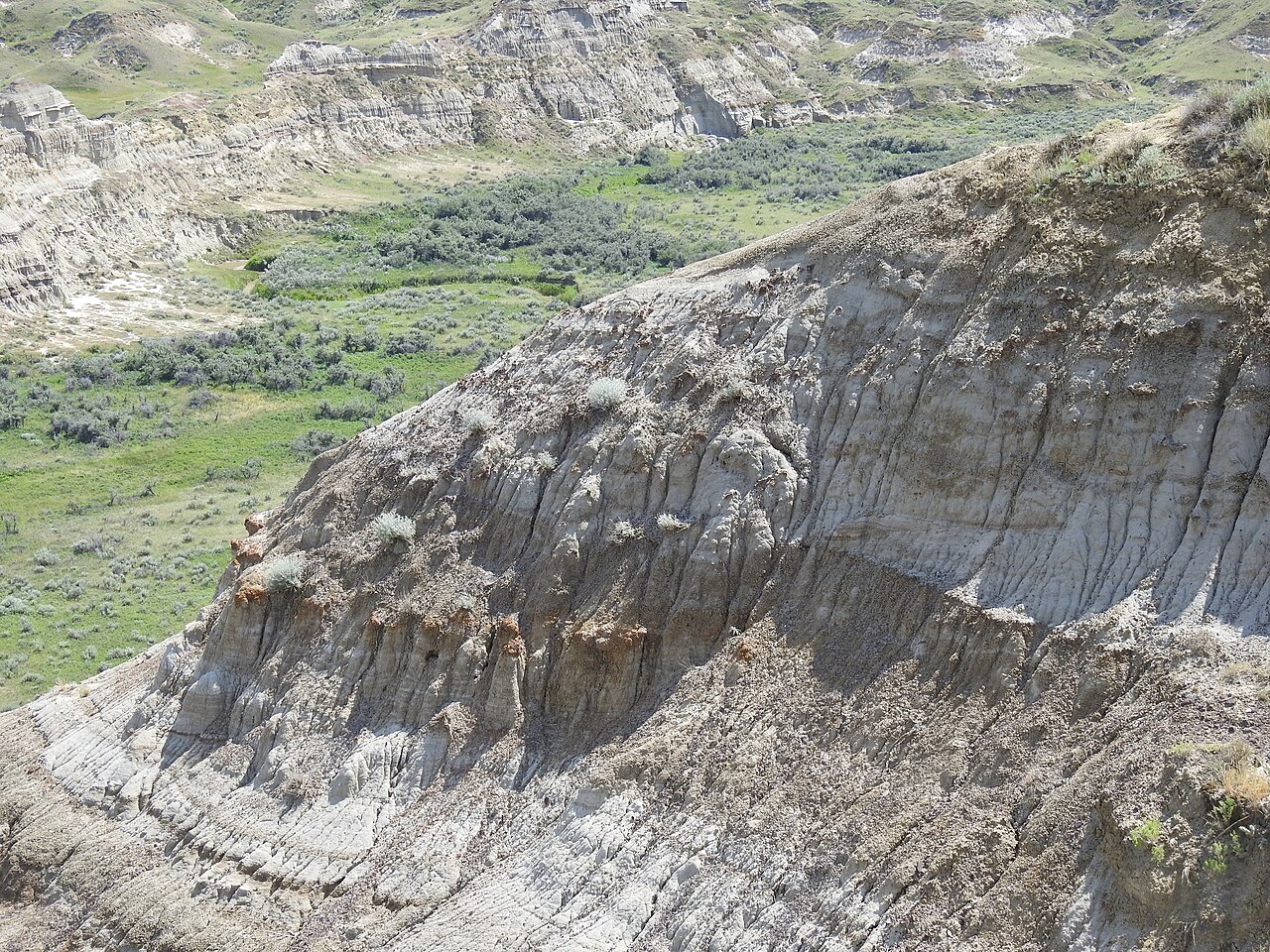 Dinosaur Provincial Park