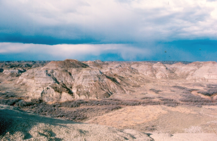 Dinosaur Provincial Park