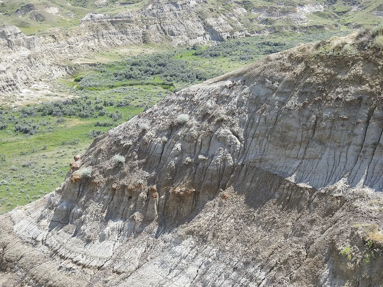 Dinosaur Provincial Park