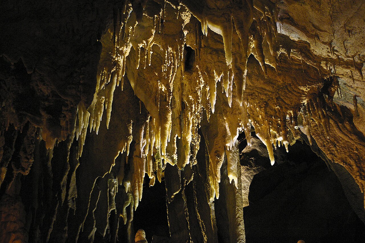 Mammoth Cave National Park