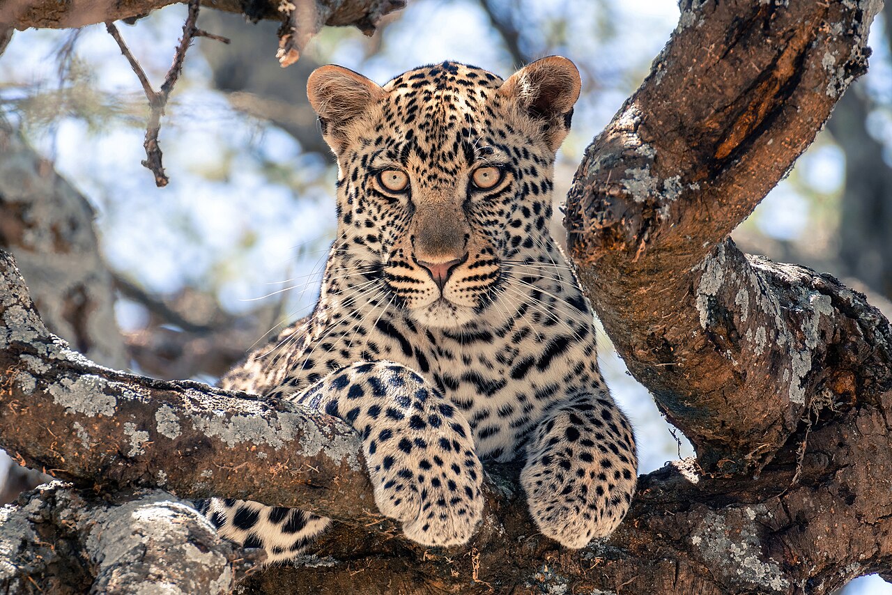 Serengeti National Park