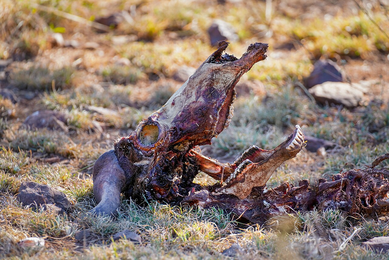 Serengeti National Park