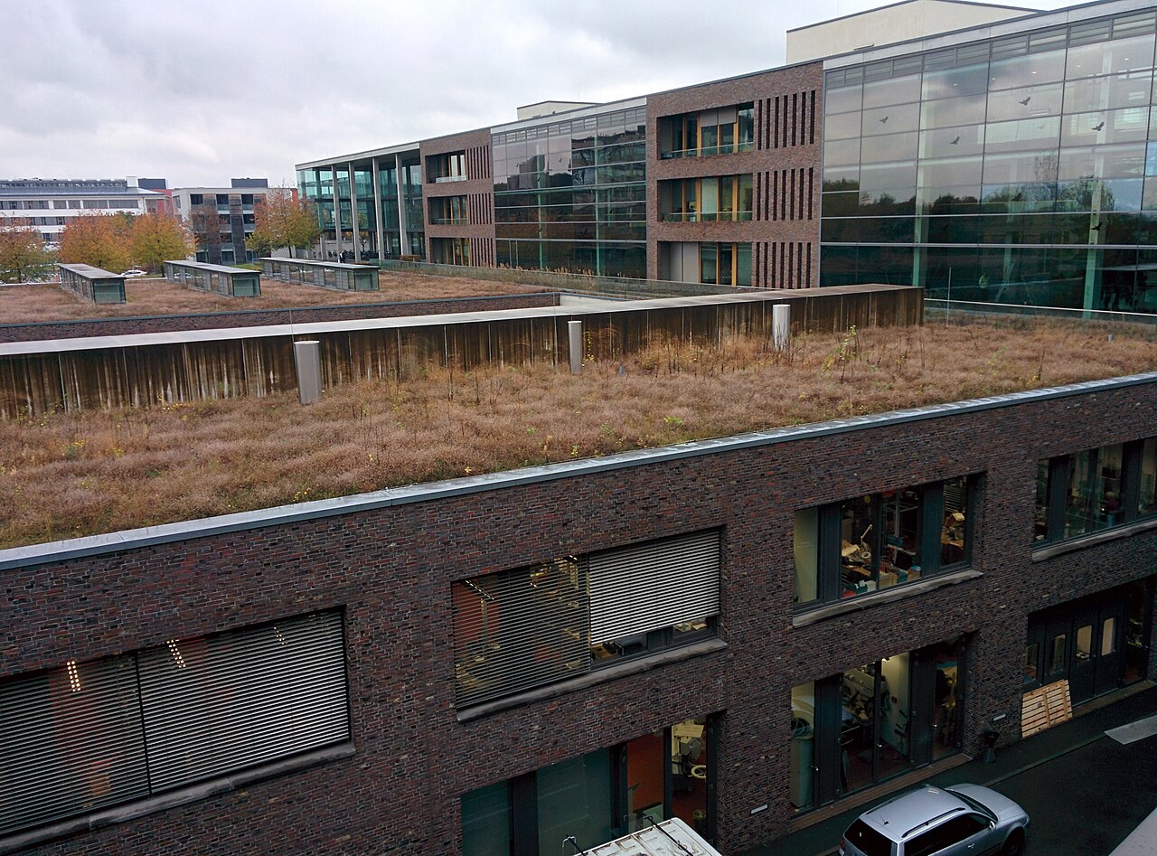 Goethe University Frankfurt