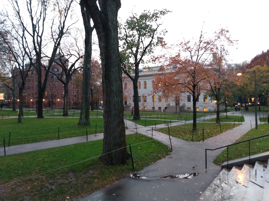 Harvard University