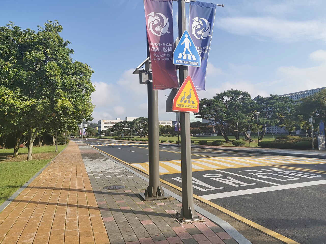 KAIST