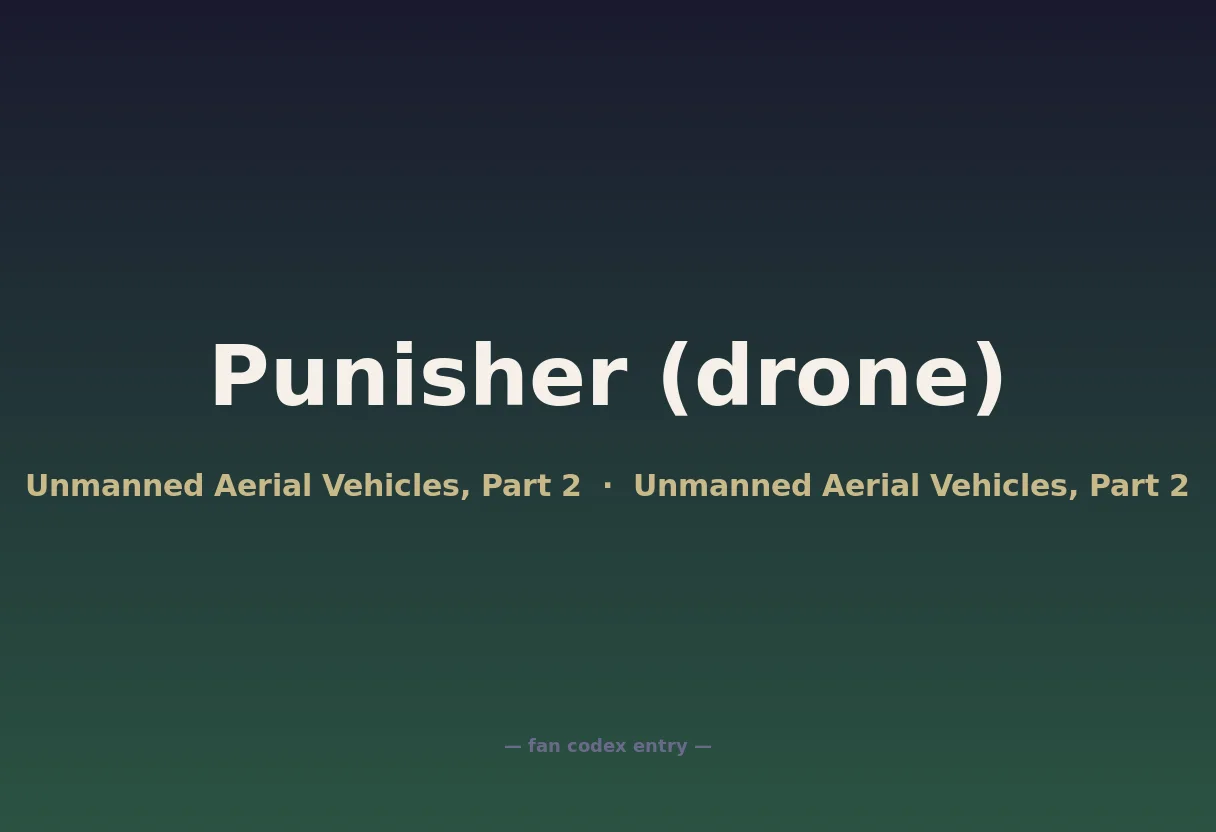 Punisher (drone)