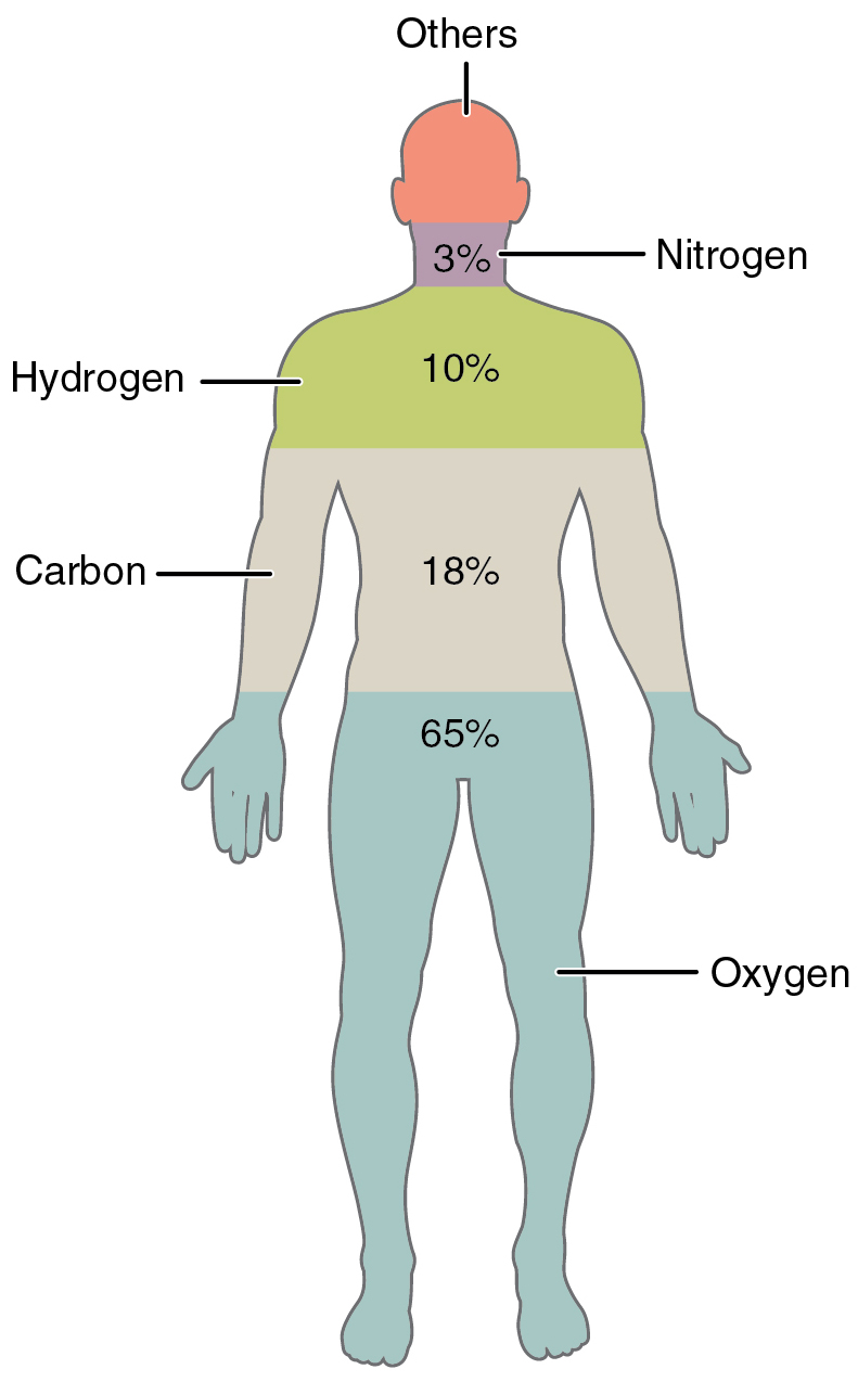 The Body (TV series)