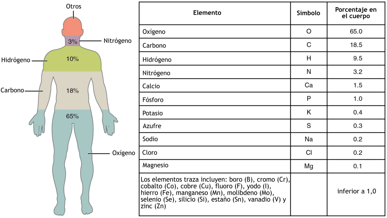 The Body (TV series)