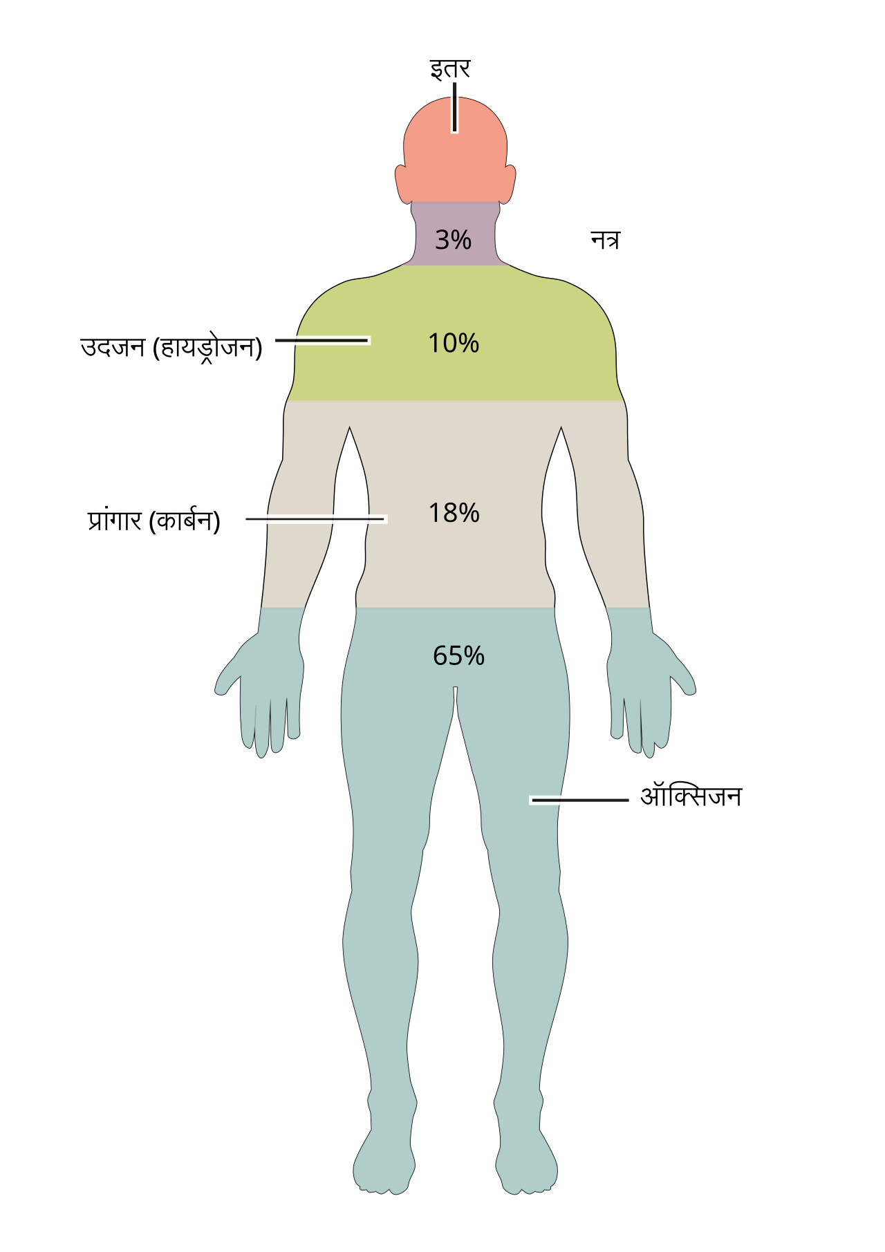 The Body (TV series)