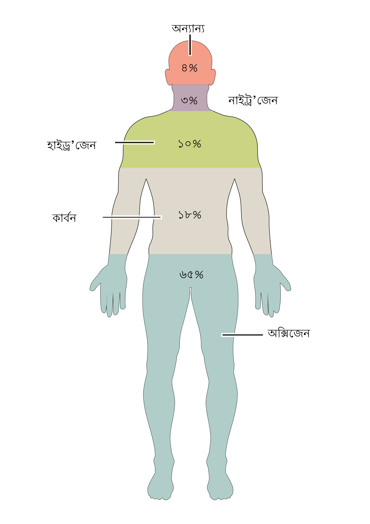 The Body (TV series)