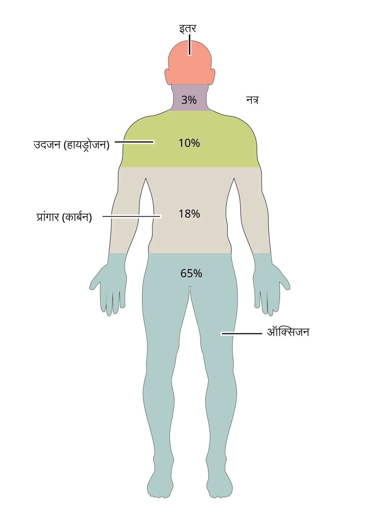 The Body (TV series)