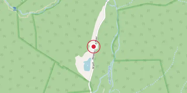 Street map of the area around Shenandoah; the red dot marks 38°31′59″N 78°21′00″W