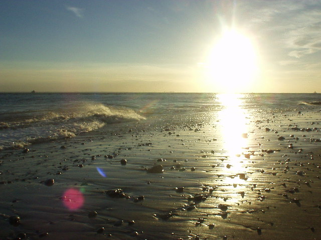 Beach Head 2002