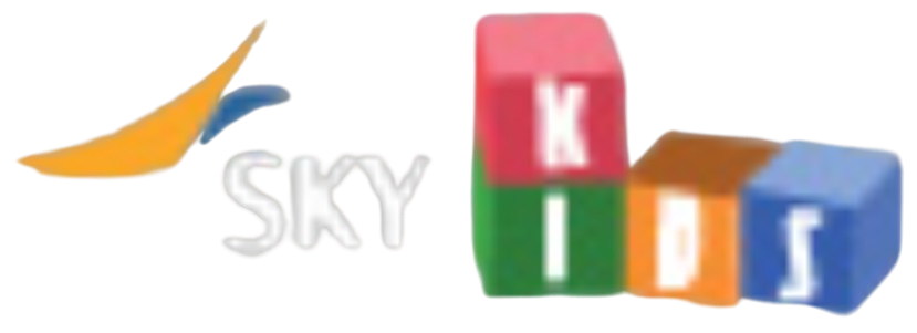 Sky Kid