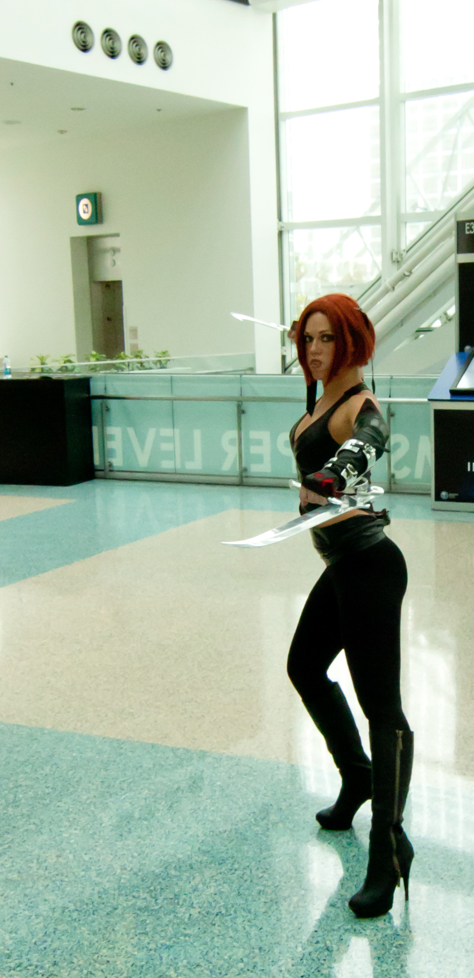 BloodRayne (video game)