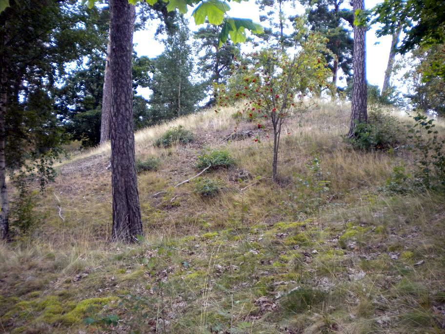 Beorn Ironside barrow 2009 (1)