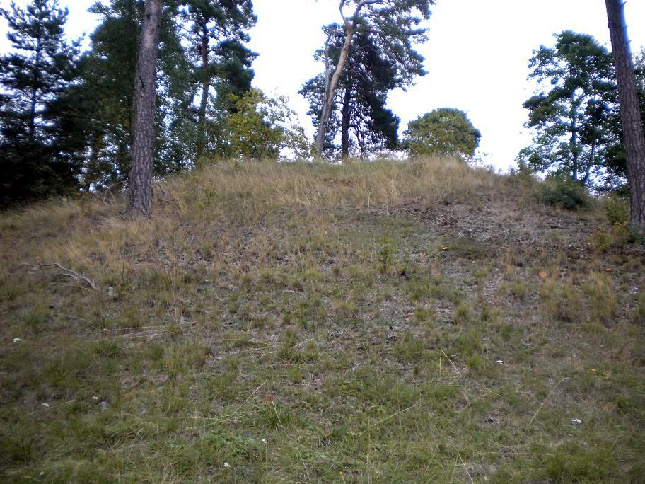 Beorn Ironside barrow 2009 (2)