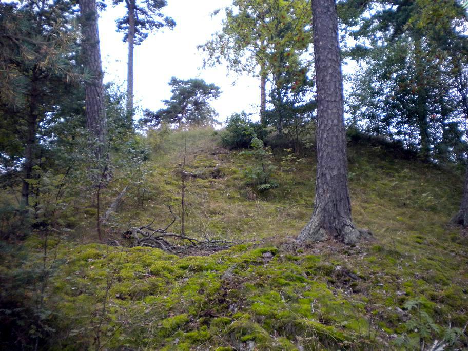 Beorn Ironside barrow 2009 (5)