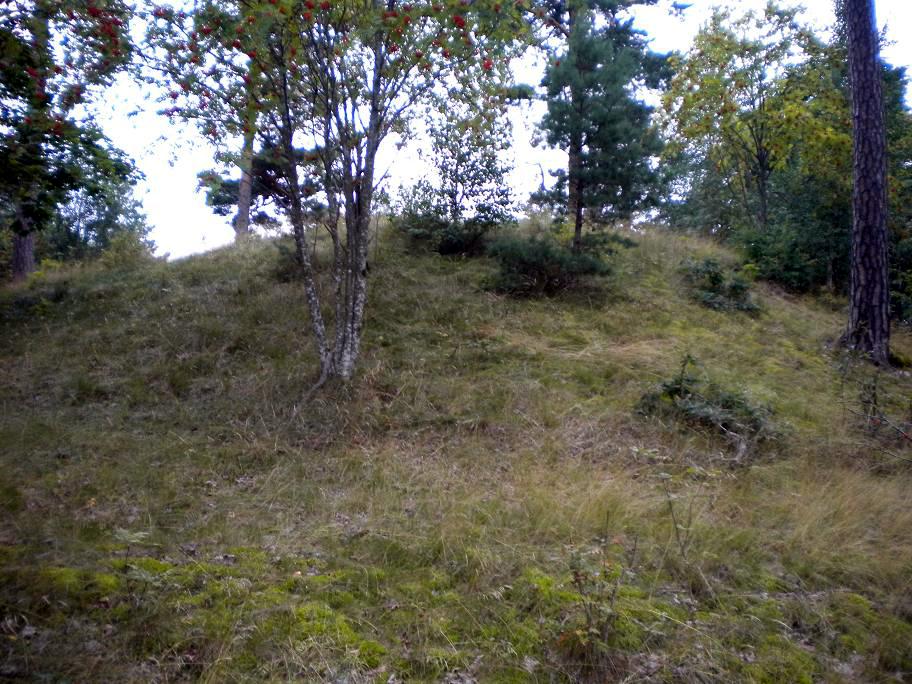 Beorn Ironside barrow 2009 (6)