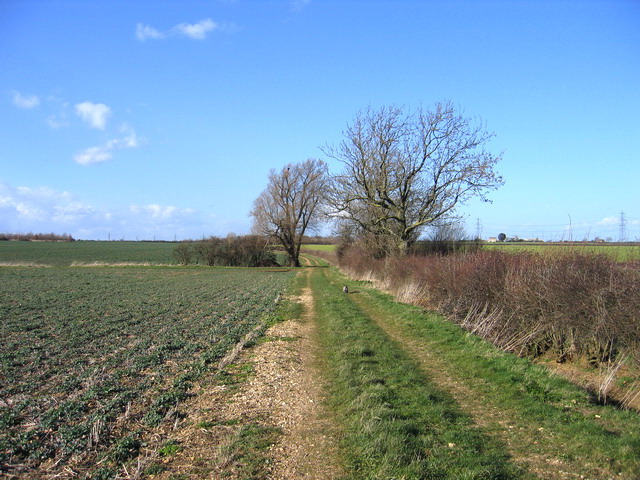 Danelaw Way crossing a stream - geograph.org.uk