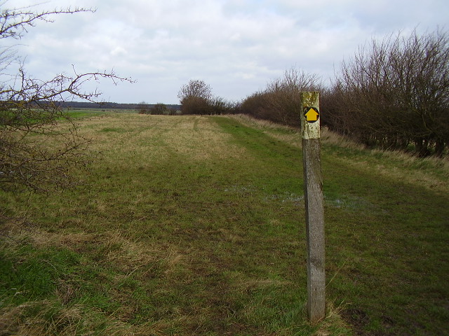 Danelaw Way near Walk Farm - geograph.org.uk