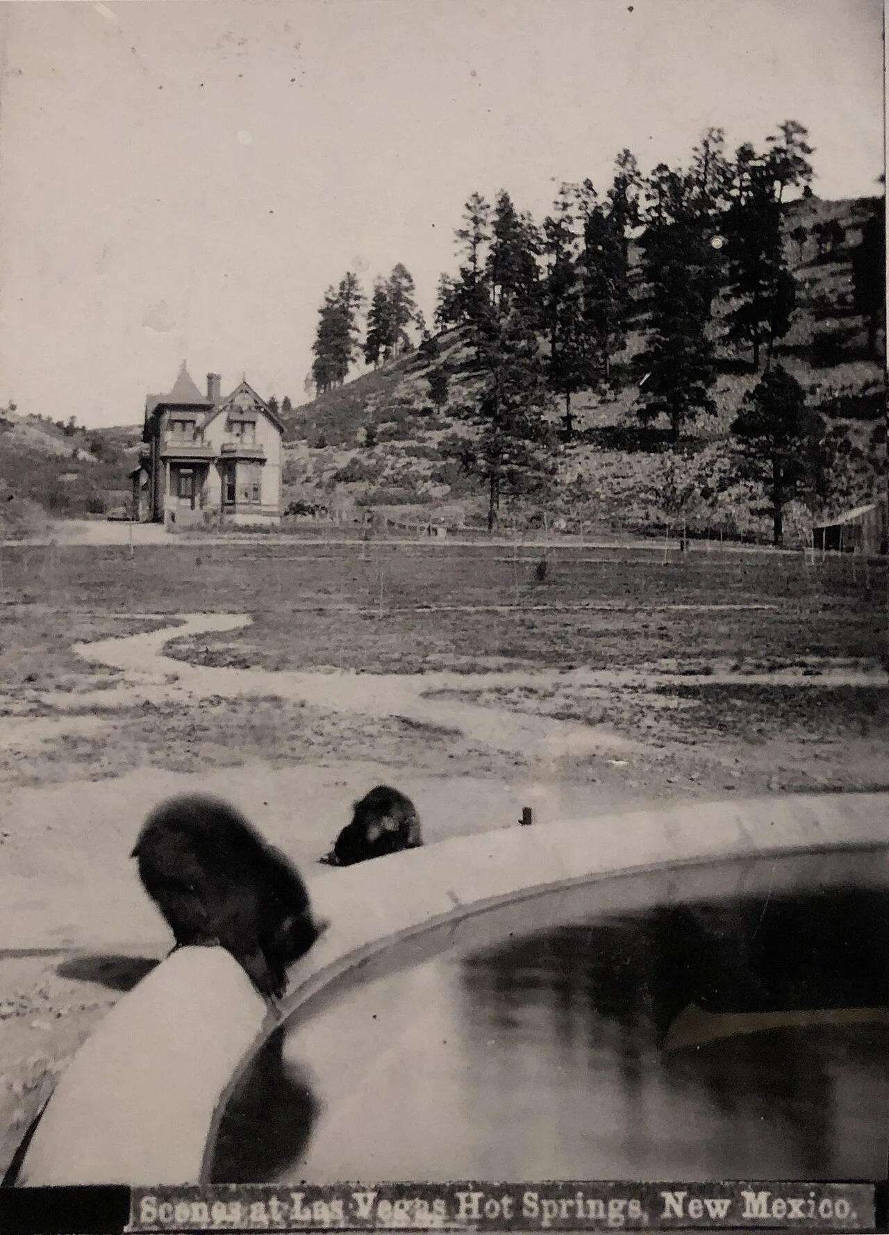 Hot spring
