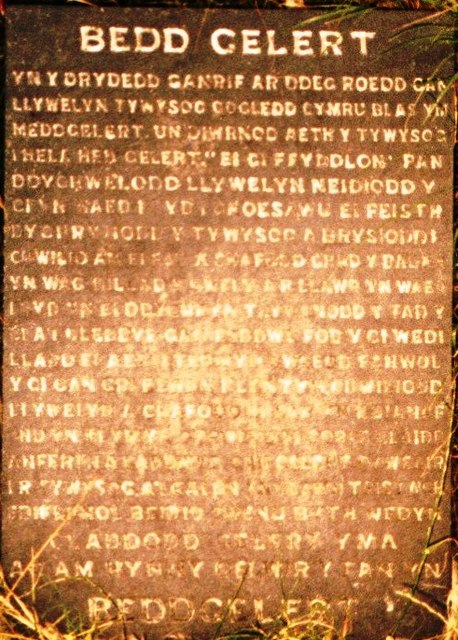 Garreg fedd Gelert (enfawr)-Gelert's gravestone (enlarged) - geograph.org.uk