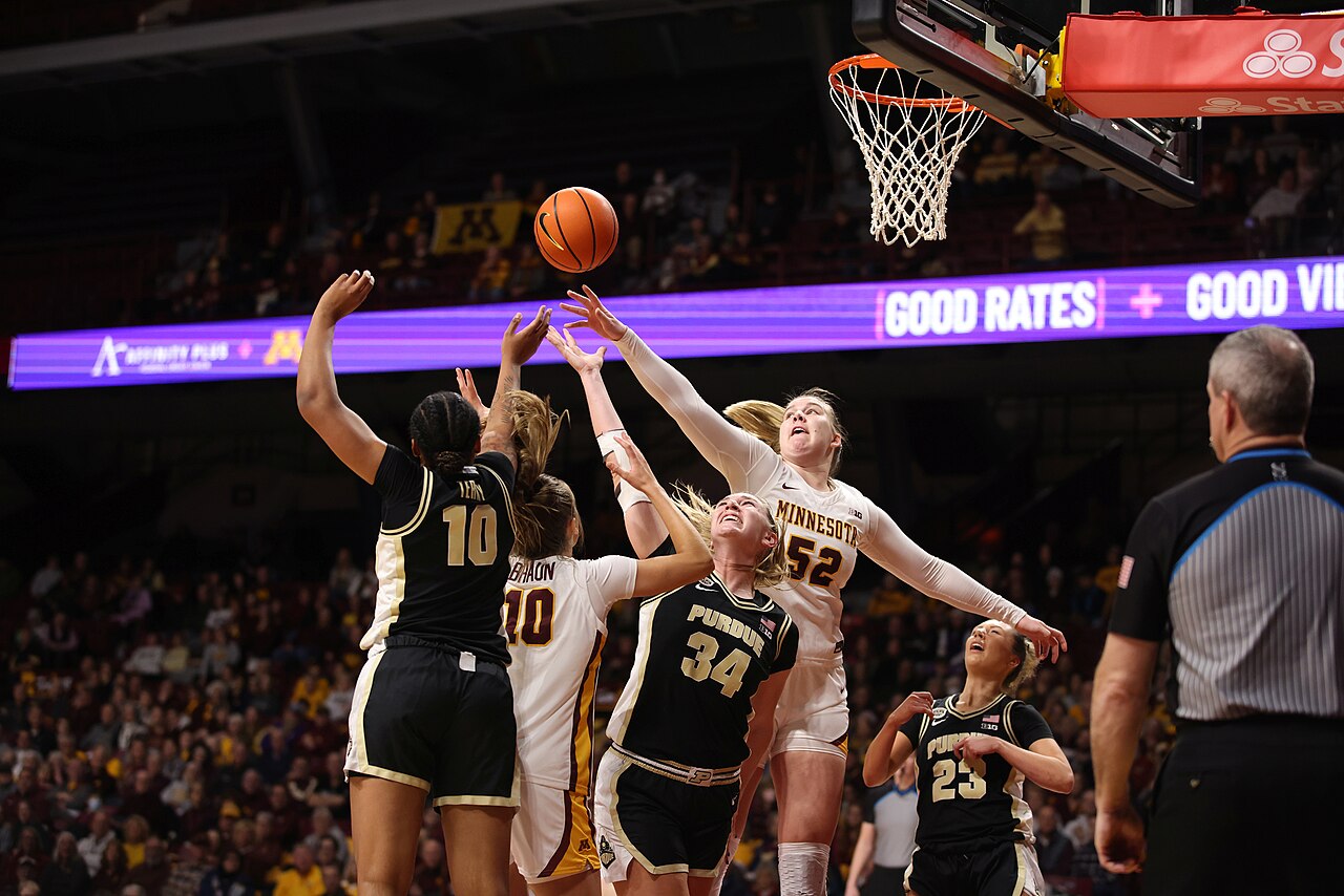 Go Go Gophers
