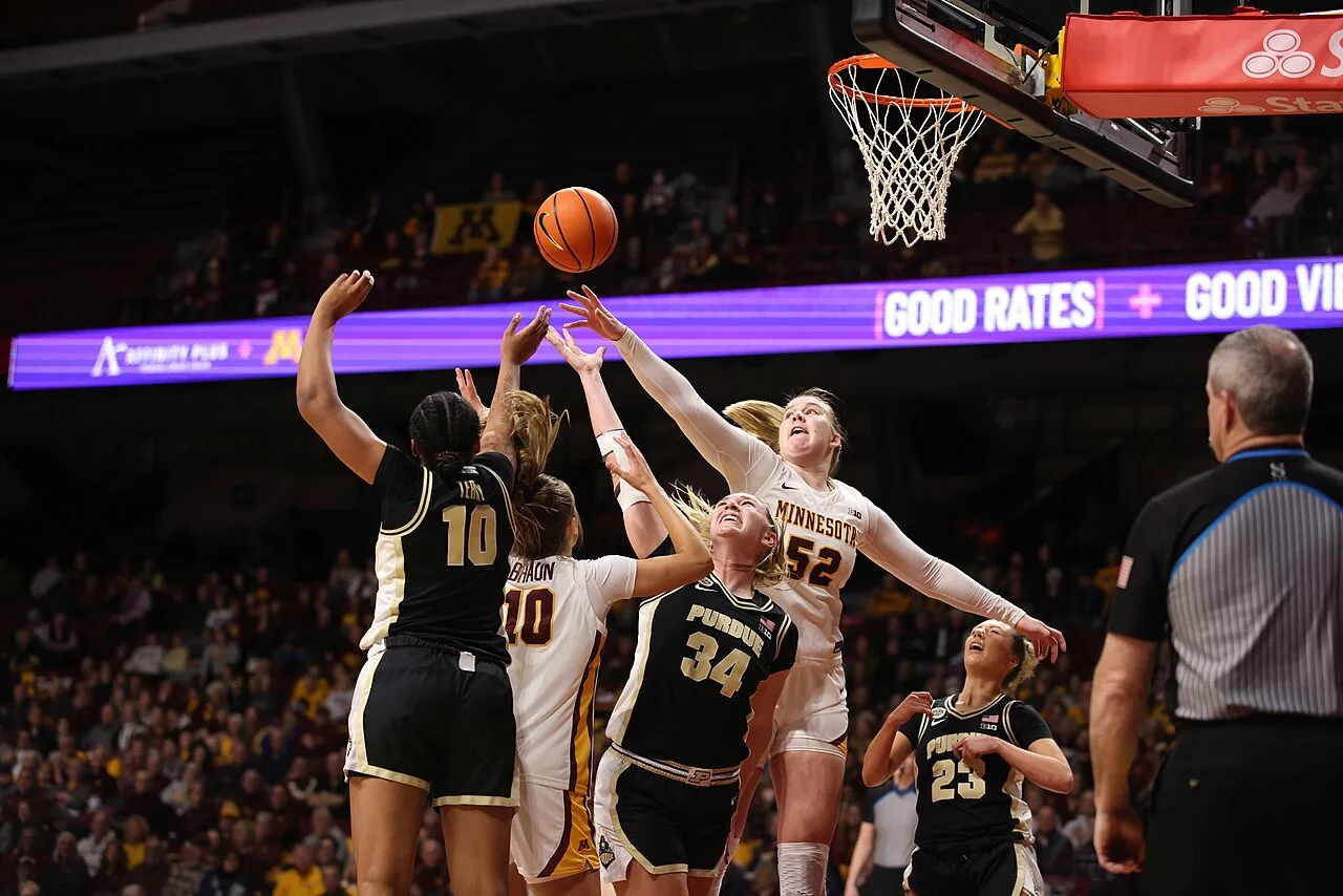 Go Go Gophers