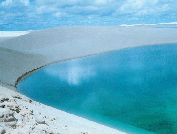 Freshwater lagoon at Lençóis Maranhenses National Park - ZooKeys-246-051-g001-C