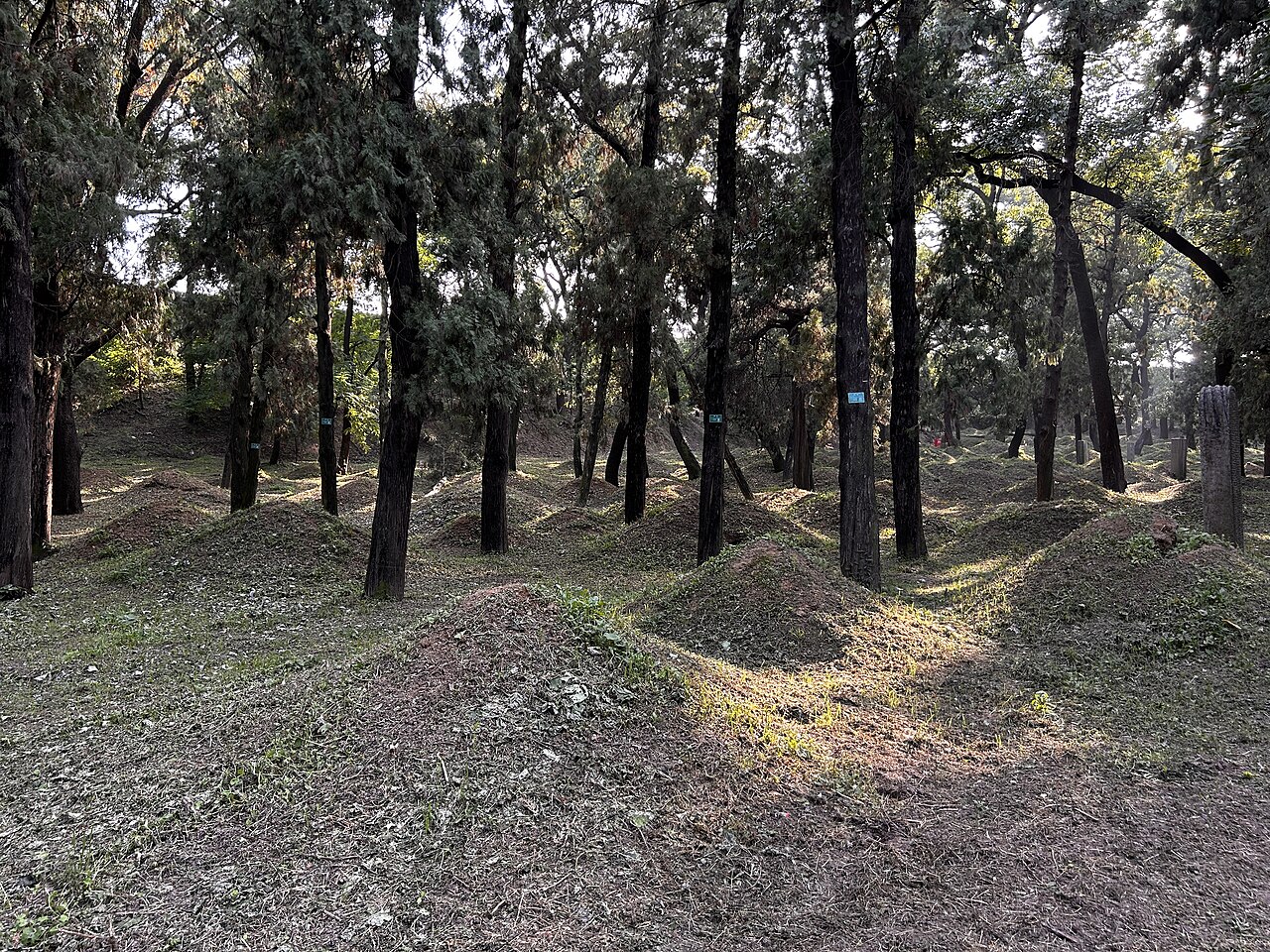Cemetery of Confucius
