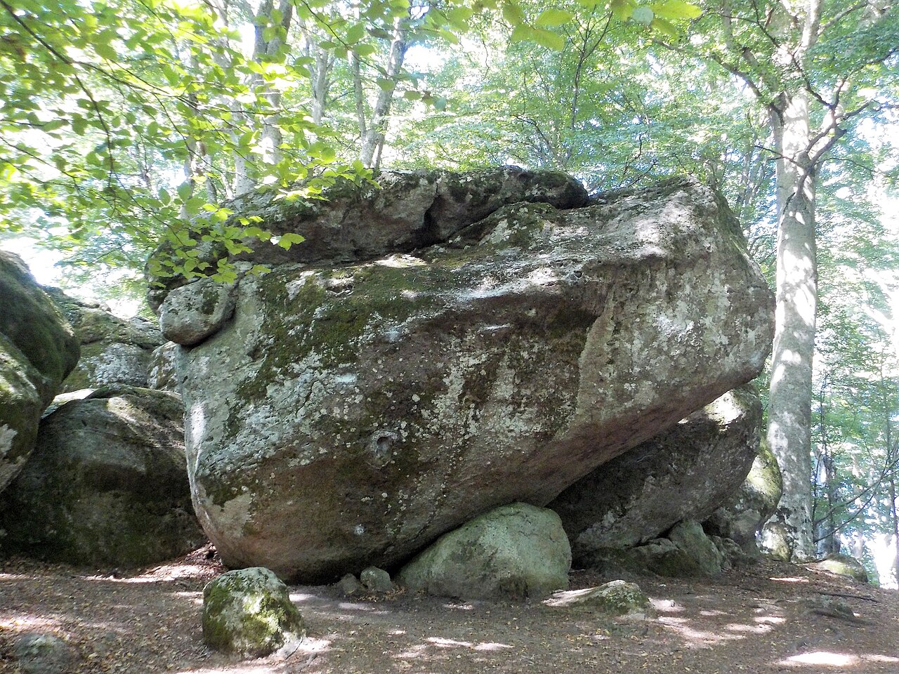 Ancient and Primeval Beech Forests of the Carpathians and Other Regions of Europe