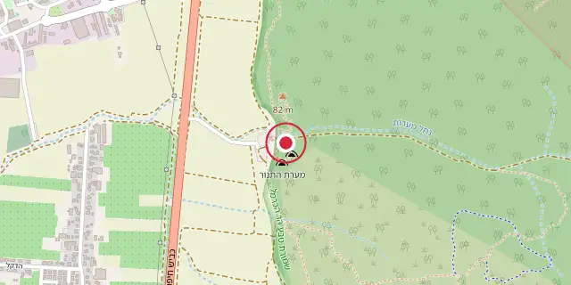 Street map of the area around El Wad; the red dot marks 32°40′16″N 34°57′58″E