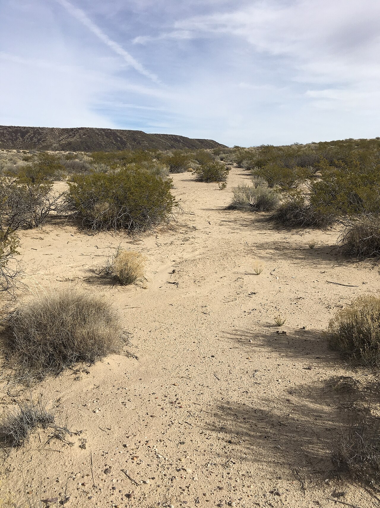 Camino Real de Tierra Adentro