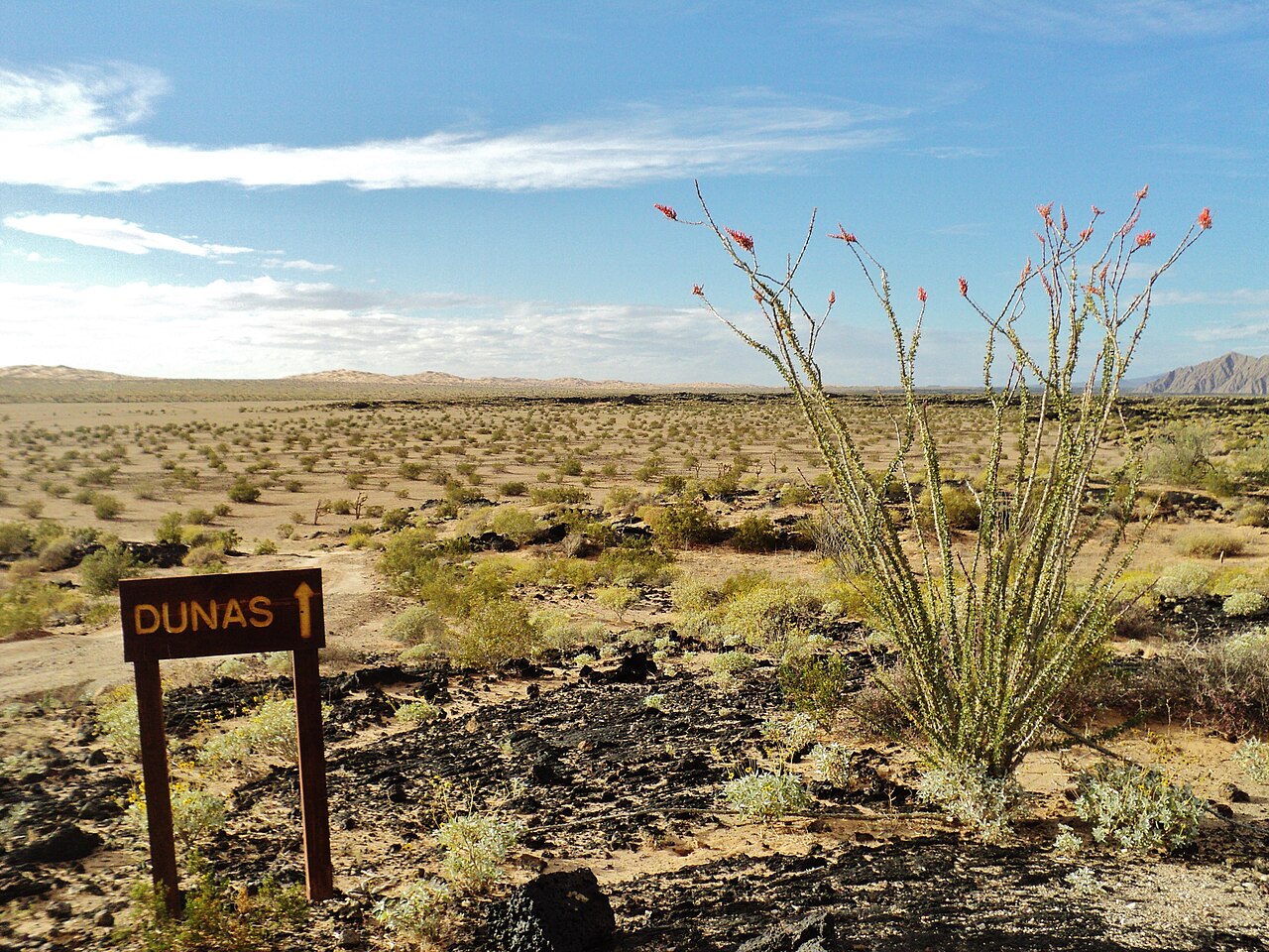 El Pinacate y Gran Desierto de Altar Biosphere Reserve