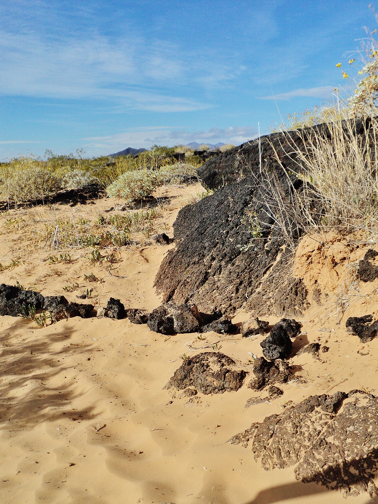 El Pinacate y Gran Desierto de Altar Biosphere Reserve