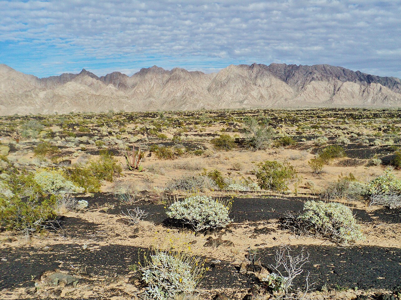 El Pinacate y Gran Desierto de Altar Biosphere Reserve